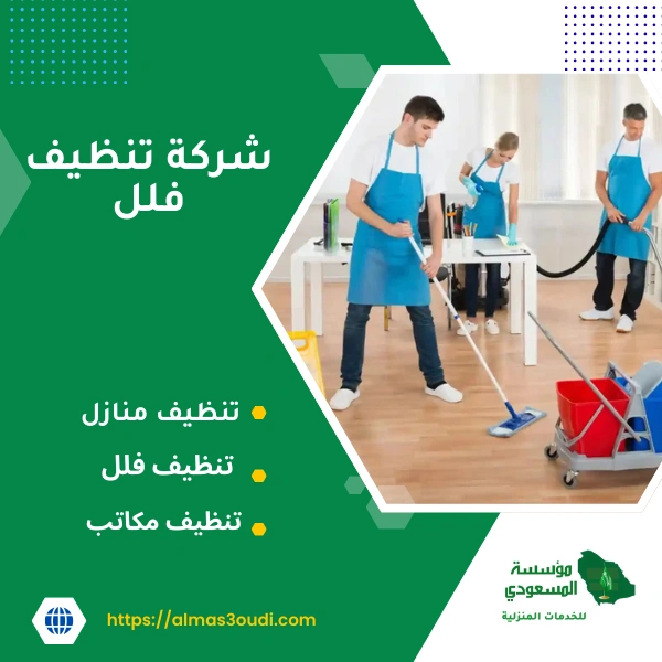 شركة تنظيف فلل